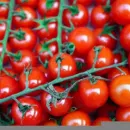 Выведены томаты с высоким уровнем витамина D