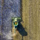 Минсельхоз: Россия и Белоруссия развивают аграрное сотрудничество