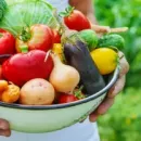 В июне из Республики Беларусь было ввезено 4,9 тыс. тонн свежих овощей