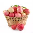 Урожай яблок в этом году может быть рекордным