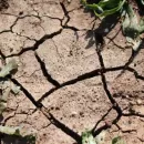 Европу настигла засуха. Пострадало более 60% земель