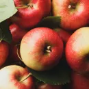 Depot упаковали яблочки "Агроном-сад"