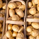 Картофелеводческая четверка ЕС в 2022 году посадила больше, но собрала меньше