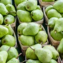 Крымские селекционеры создали новые сорта вкусных груш