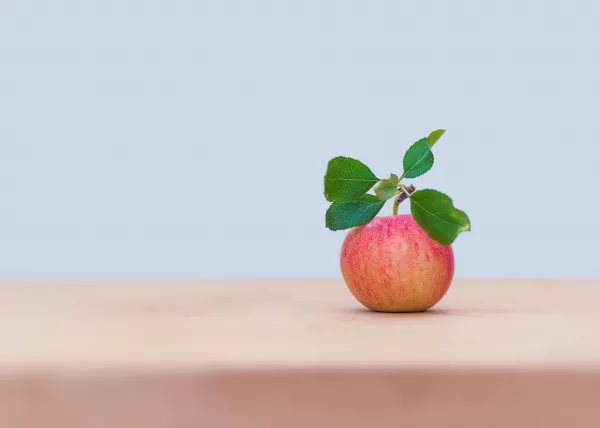 Итальянские производители яблок возвращаются в пещеры для хранения фруктов