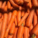 О ценах на морковь в России, данные на ноябрь 2022 года