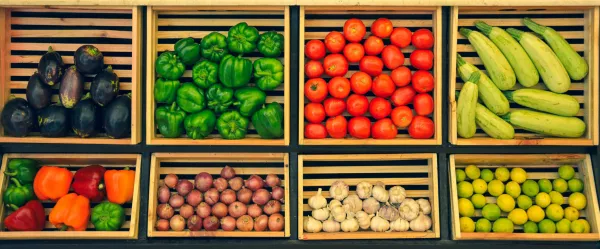 Интеллектуальная система контроля условий хранения овощей сократит потери в овощехранилищах на 30%