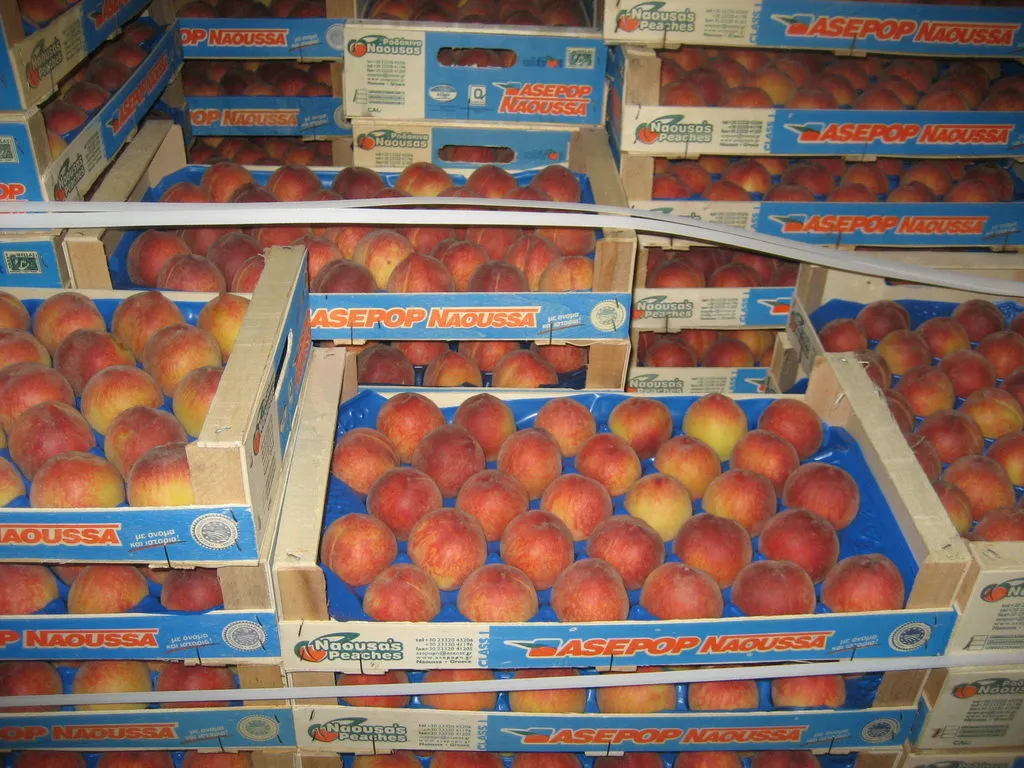 фотография продукта персики,нектарины.парагвай