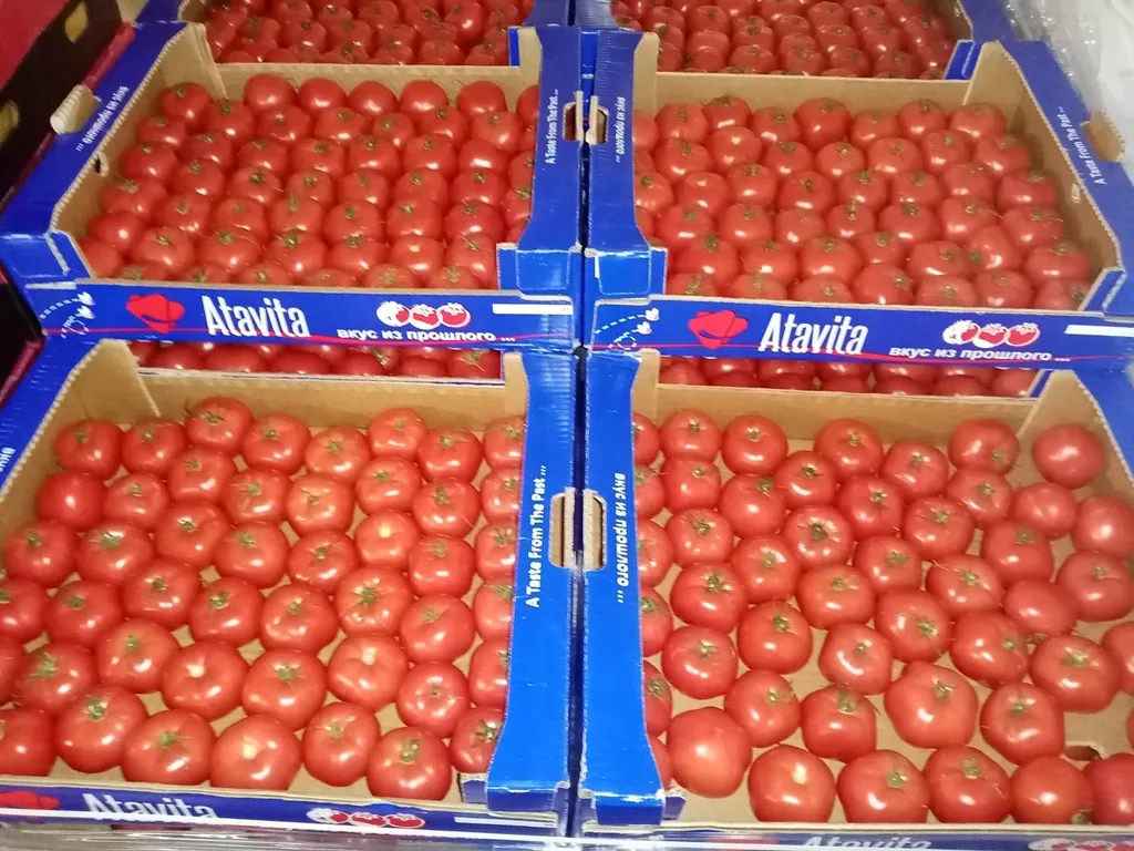 фотография продукта томаты