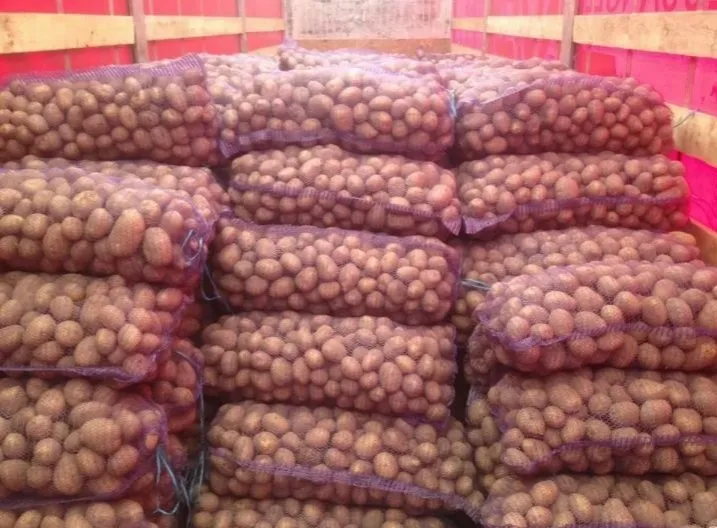 картофель семенной и продовольственный в Мытищах
