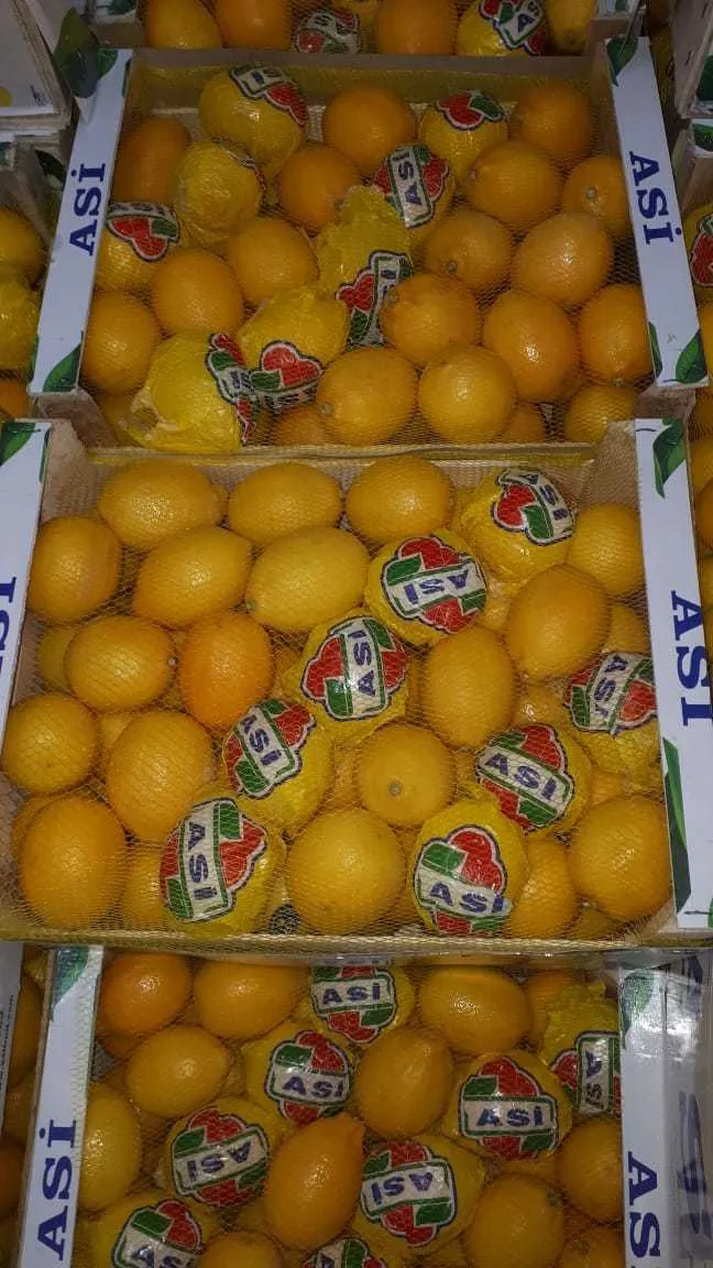 лимон 3