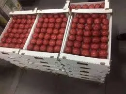 фотография продукта томат оптом