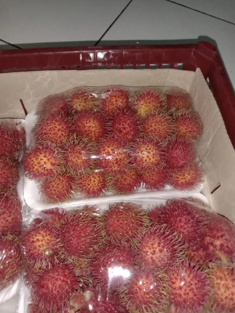 экзотические фрукты из Тая и Колумбии. в Москве 11