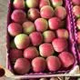 яблоки от Молдавских производителей 2