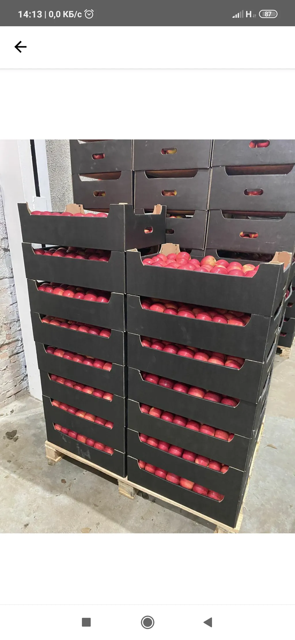 яблоки от Молдавских производителей 7