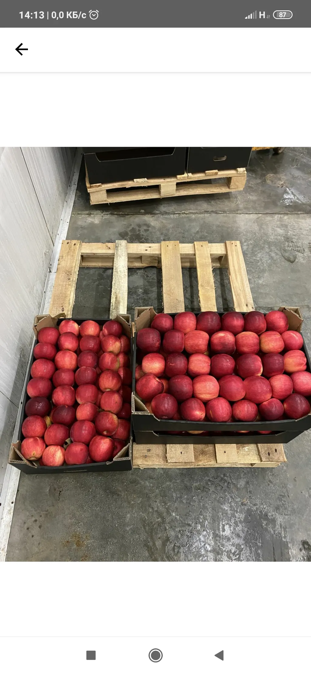 яблоки от Молдавских производителей 9