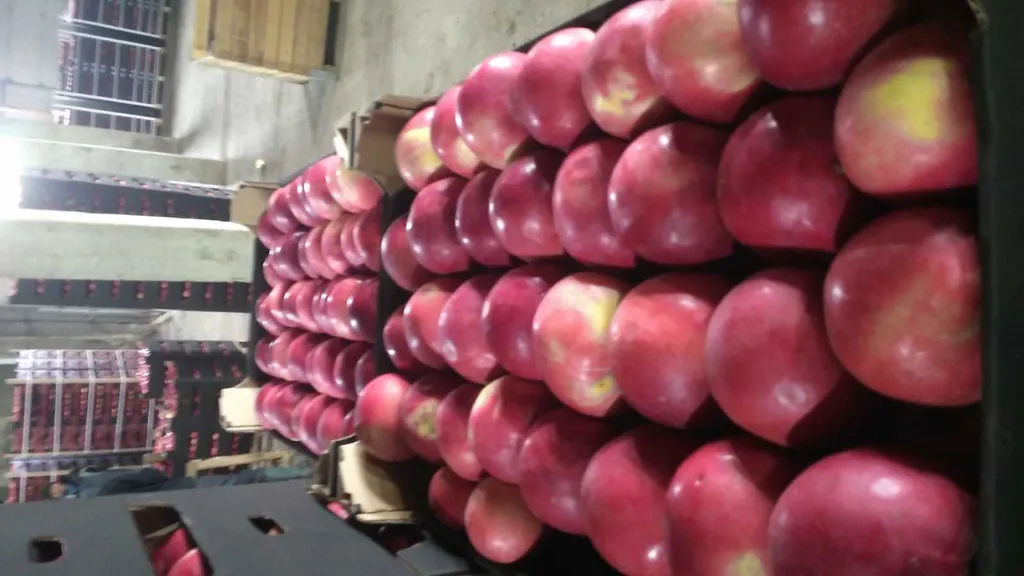 яблоки от Молдавских производителей 5