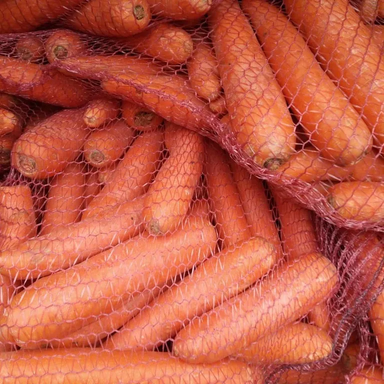 фотография продукта Морковь молодая 2021 опт
