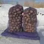 картофель продовольственный - 25р в Кургане и Курганской области 2