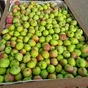 яблоко Орлик в Самаре