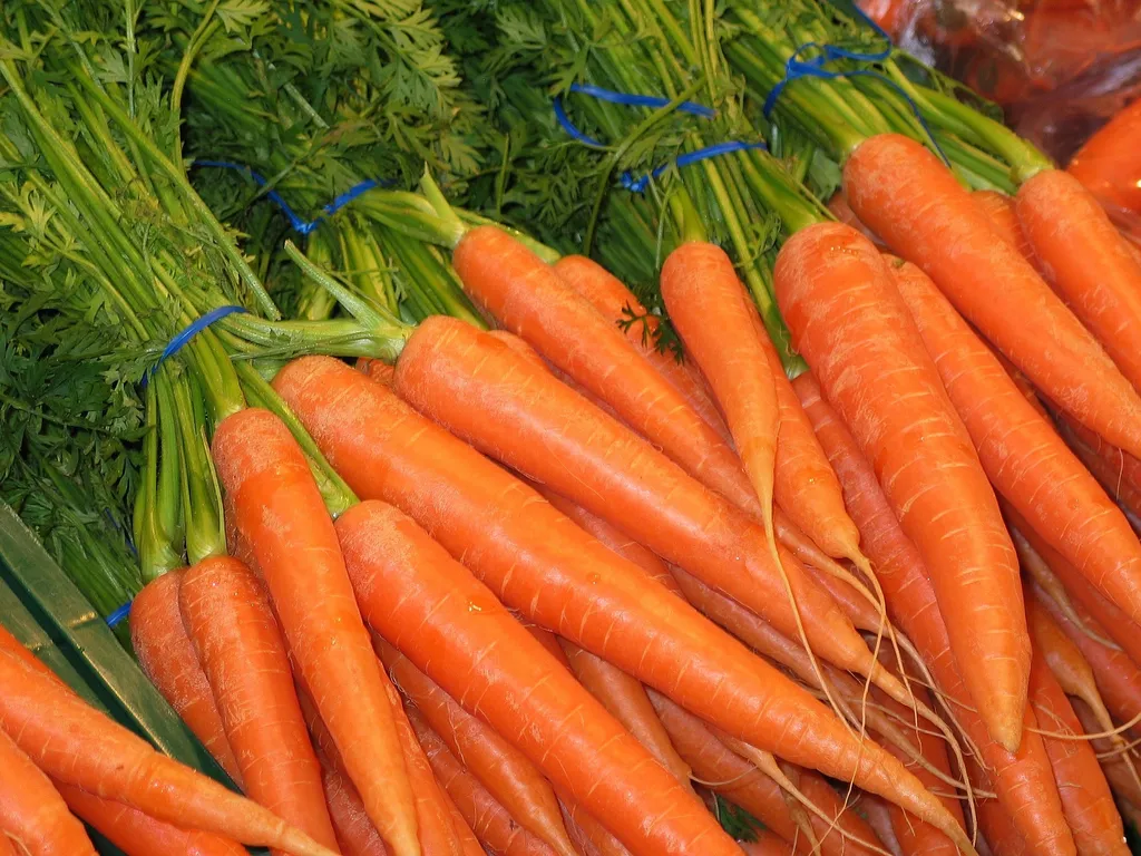фотография продукта Морковь оптом от 20 тонн