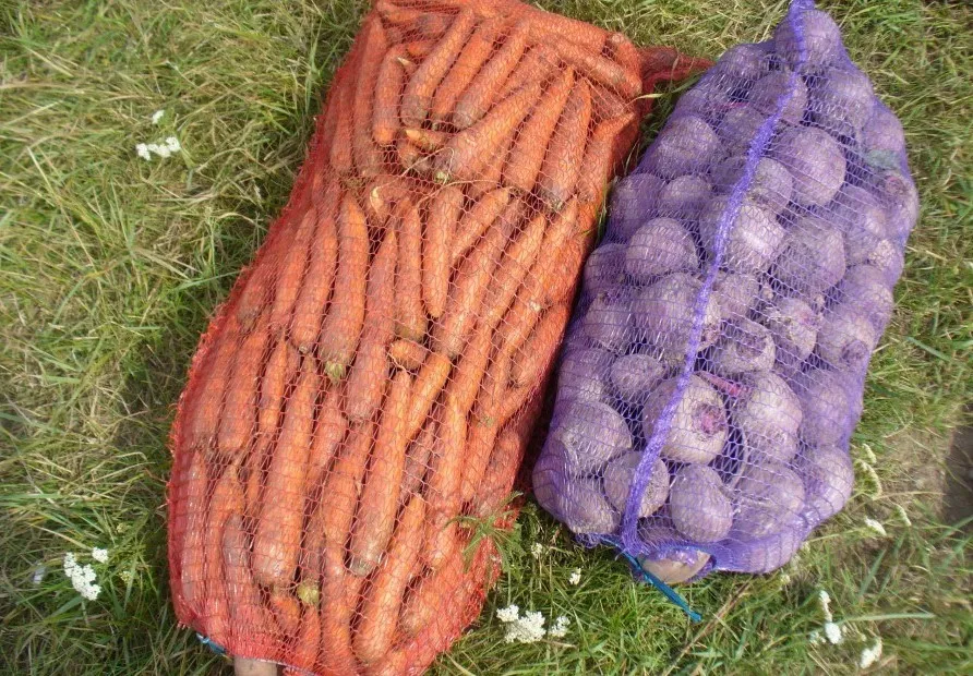 фотография продукта Морковь оптом свежая от 10тонн