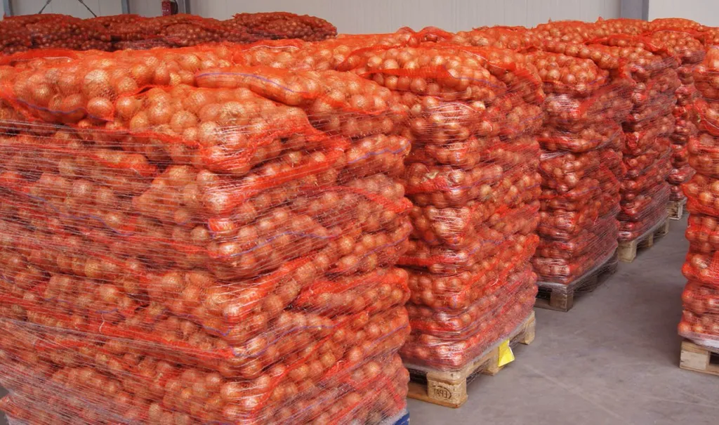 фотография продукта Лук на экспорт | onions for export