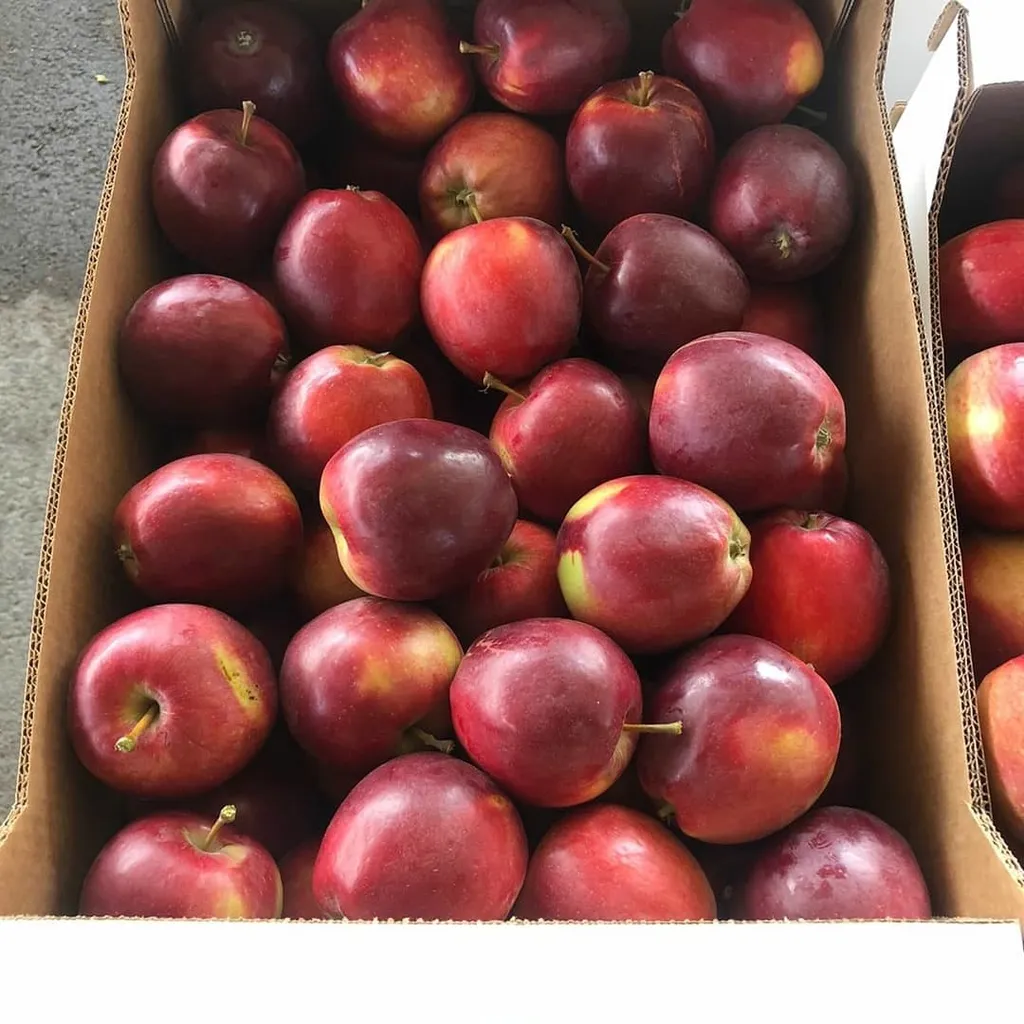 яблоки опт от производителя в Краснодаре и Краснодарском крае