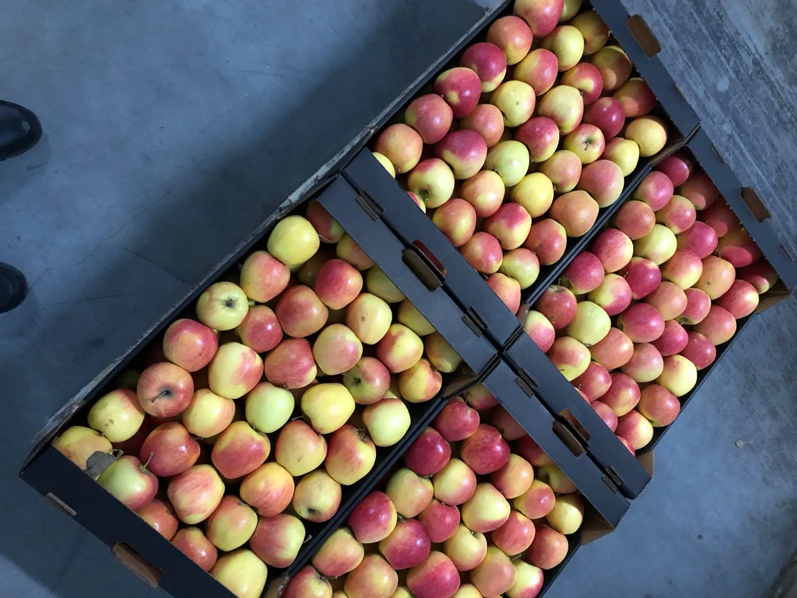 яблоки свежие  в Нальчике и Кабардино-Балкарской республике
