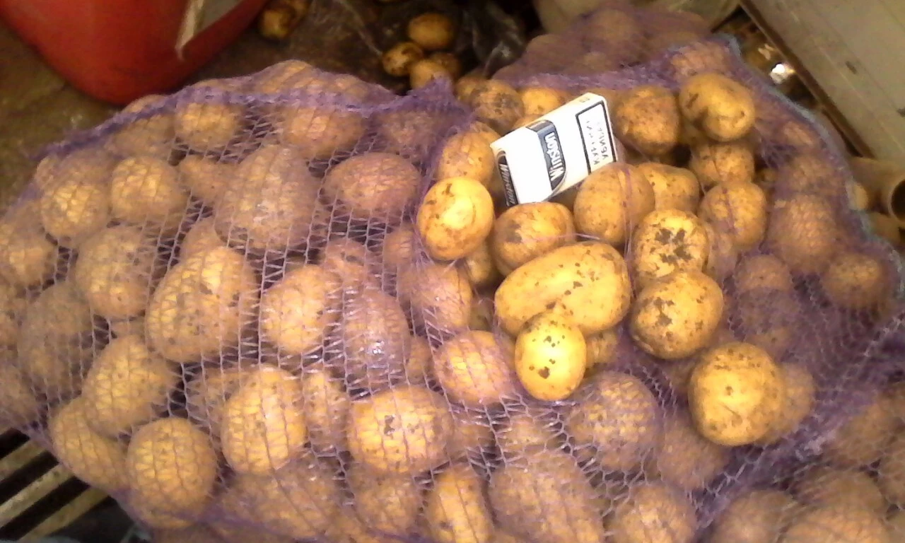 фотография продукта фермерский картофель оптом 