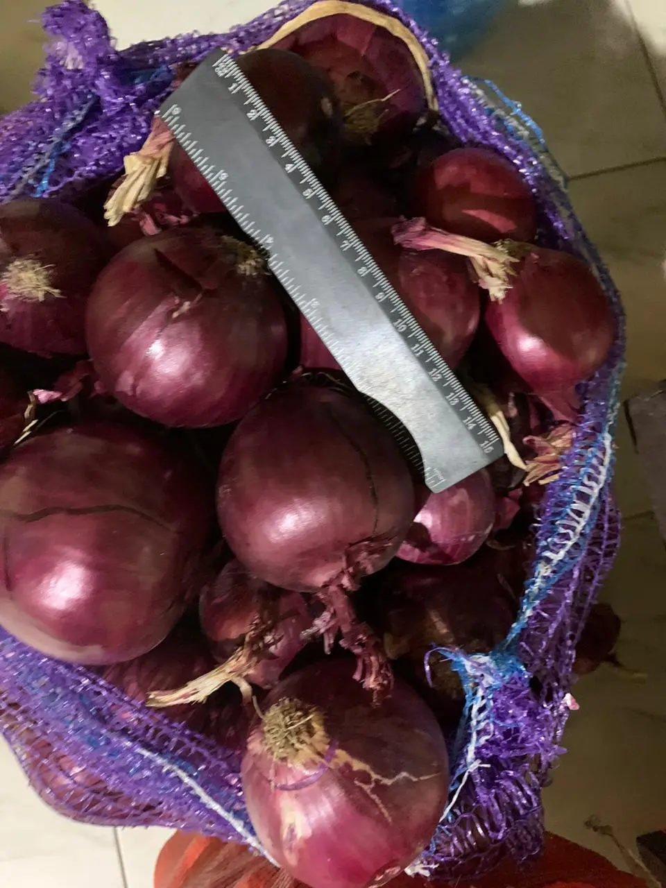 фотография продукта Овощи оптом Лук репчатый фиолетовый