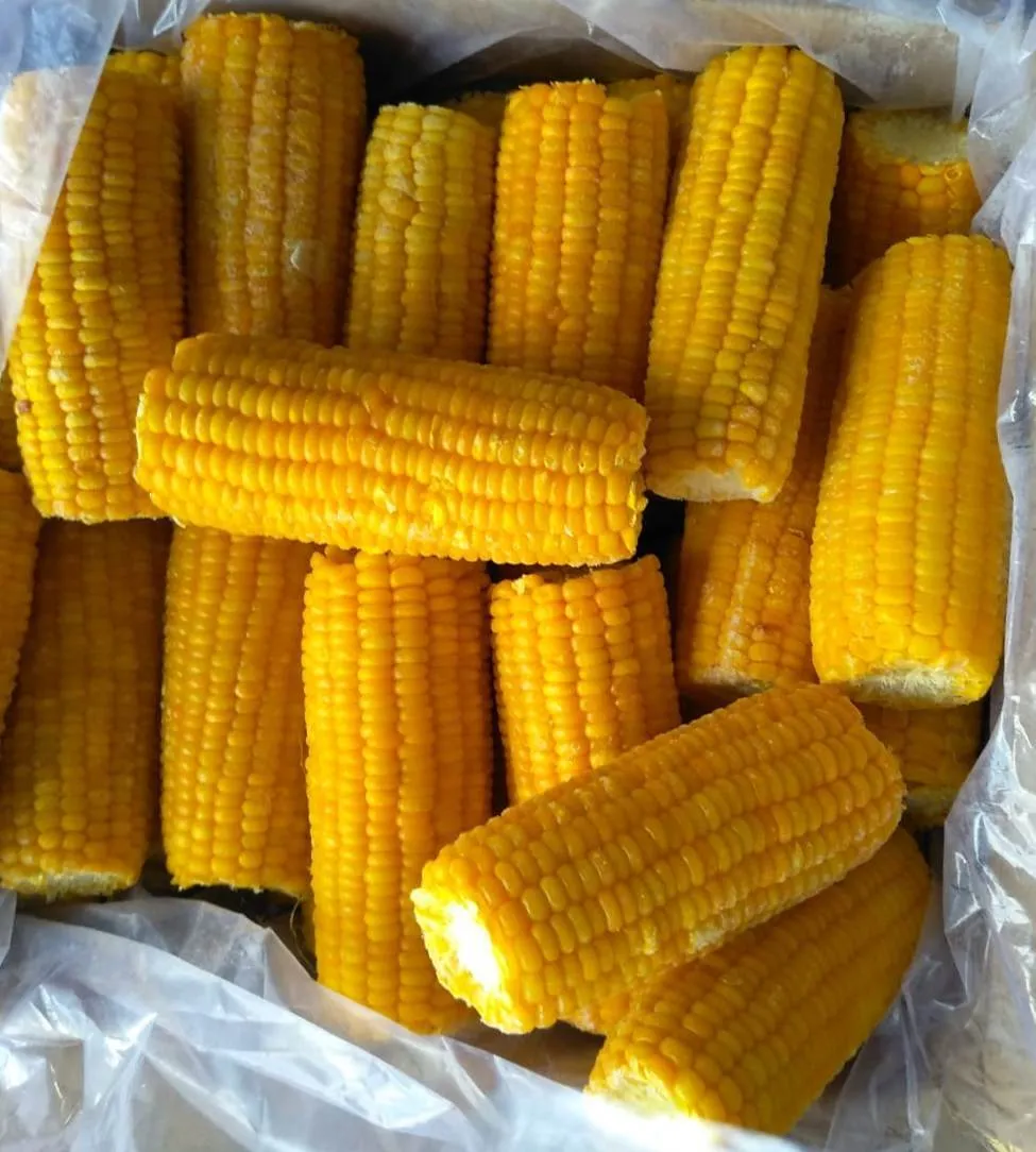 фотография продукта Кукуруза замороженная (початок)
