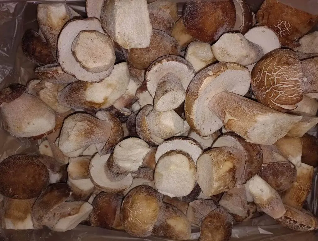 фотография продукта Белые грибы (целые) замороженные
