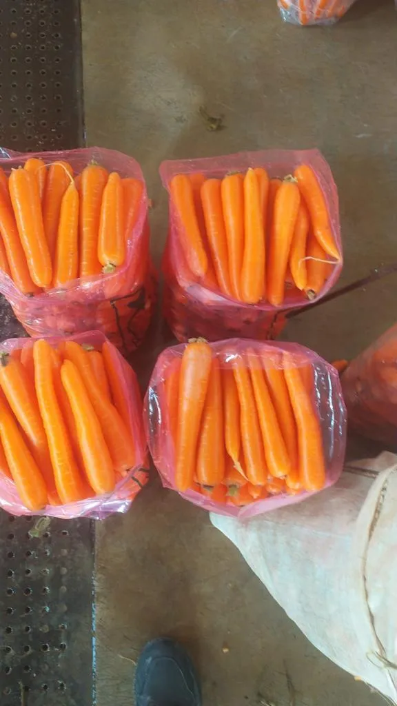 фотография продукта Морковь мытая