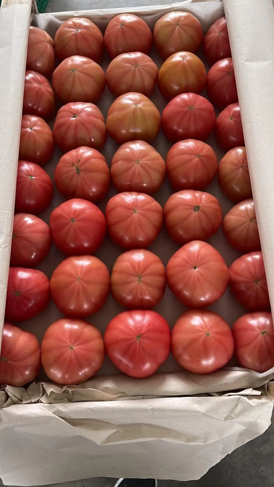 фотография продукта Помидор, томат