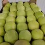 продаю яблоки в больших количествах в Молдавии 6