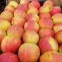продаю яблоки в больших количествах в Молдавии 5