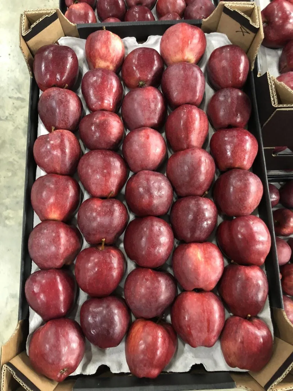 продаю яблоки в больших количествах в Молдавии 4
