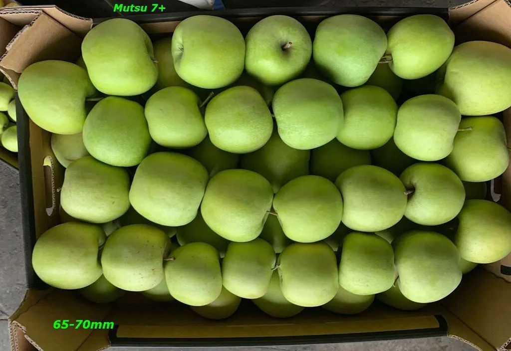 яблоки экспорт в Польше 2