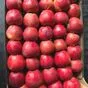 яблоки экспорт в Польше 9