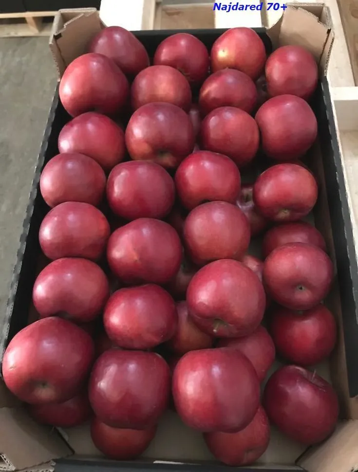 яблоки экспорт в Польше 4
