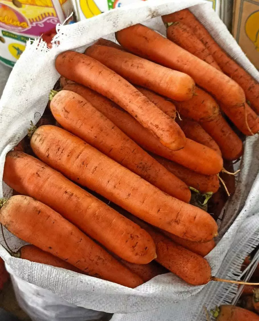 фотография продукта Морковь оптом 1 сорт