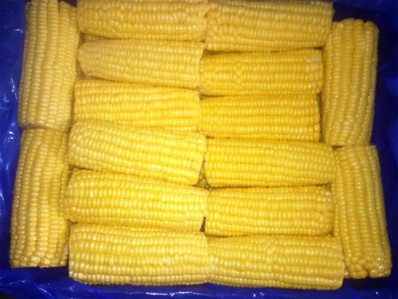 Фотография продукта Замороженная кукуруза в початках оптом