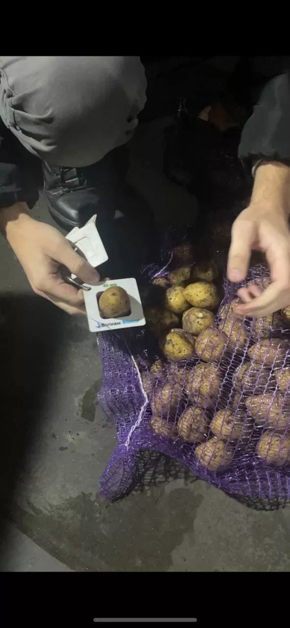 картофель от производителя гала 3-4 в Нижнем Новгороде и Нижегородской области