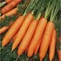 морковь свежая столовая в Республике Беларусь 2