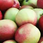 яблоко оптом лигол (1/2 сорт) в Республике Беларусь 2