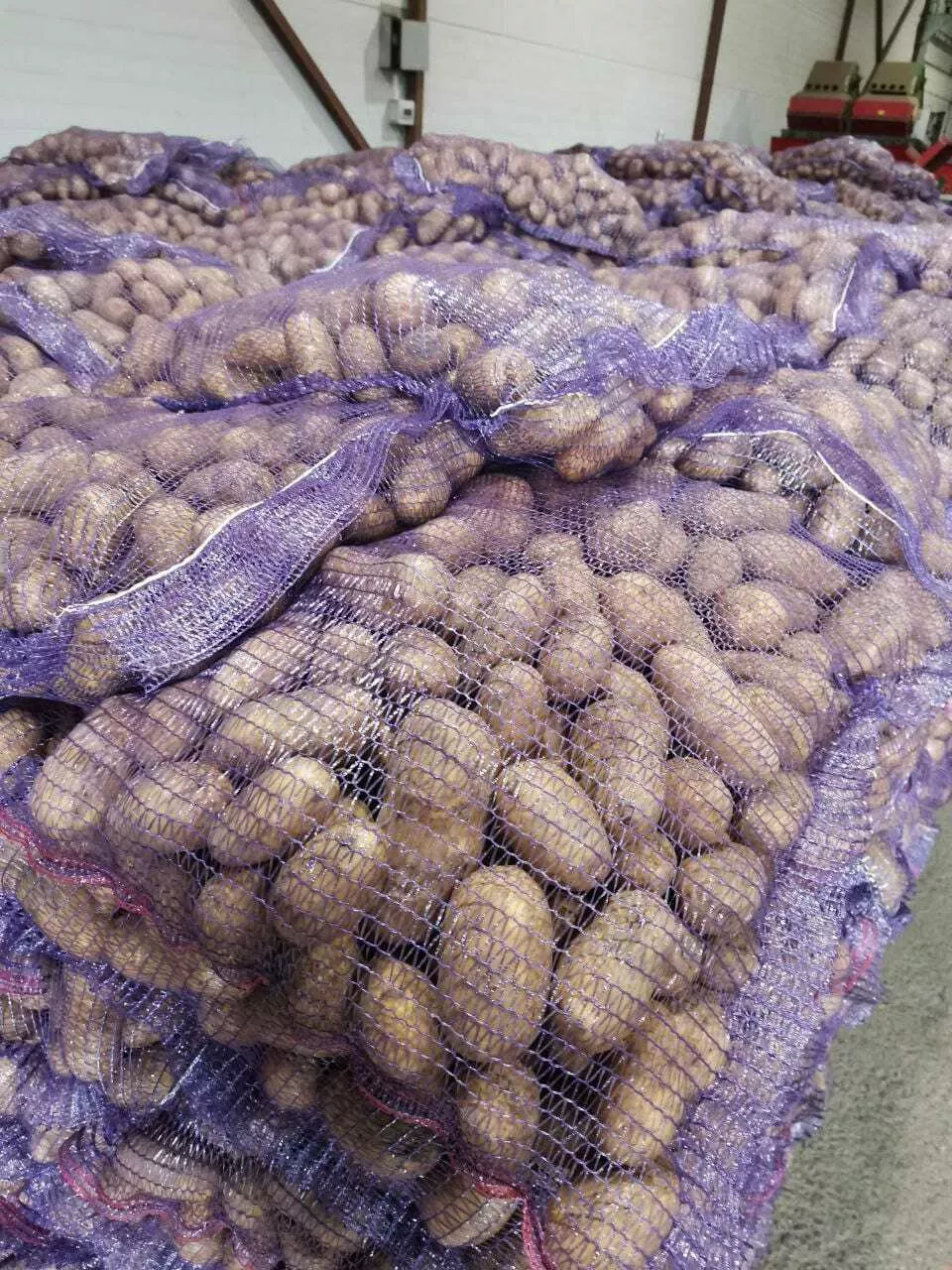 картофель оптом из беларуси в Республике Беларусь