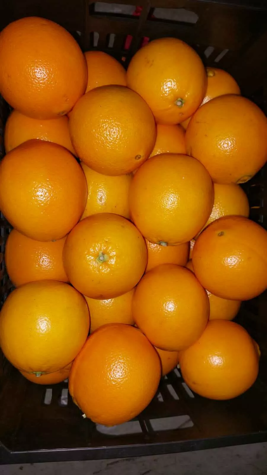 фотография продукта Апельсины свежие (египетские)