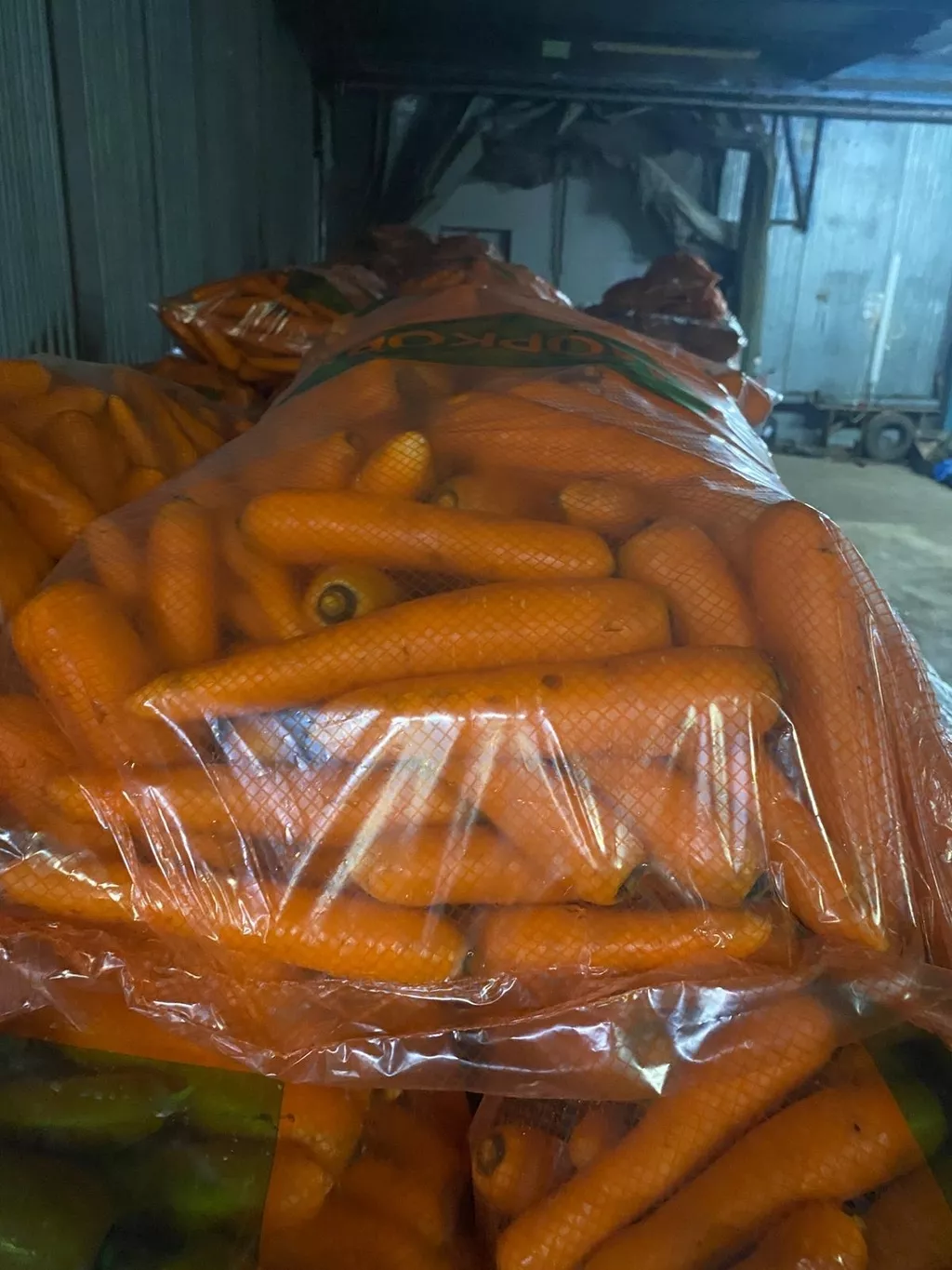 фотография продукта Морковь мытая оптом от производителя