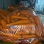 морковь мытая оптом от производителя в Республике Беларусь